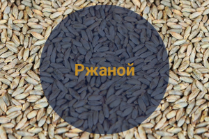 Солод Ржаной Ферментированный в зернах (Росток), 1 кг